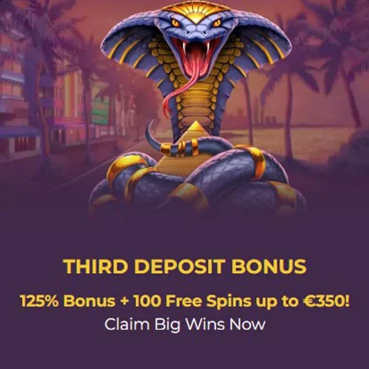 Wizebets live casino spelshows